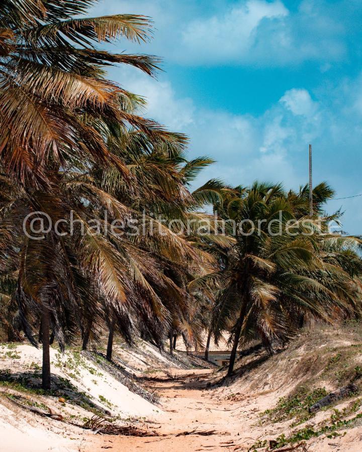 Chalés Paraíso de Maracajaú 1 Villa Esterno foto